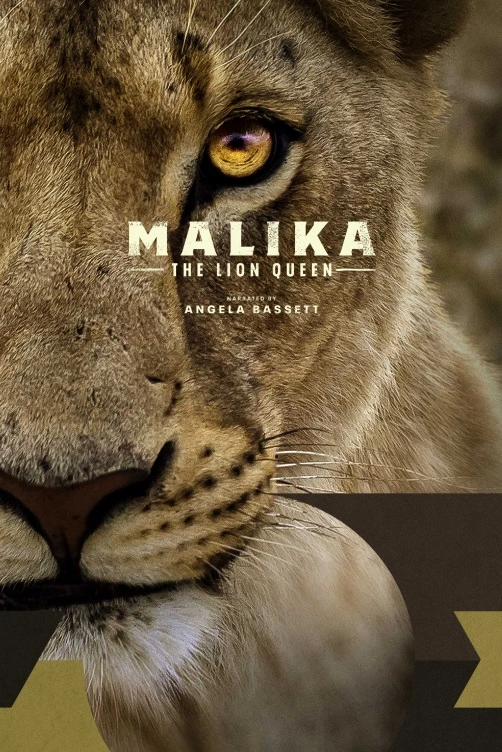 Lví královna Malika