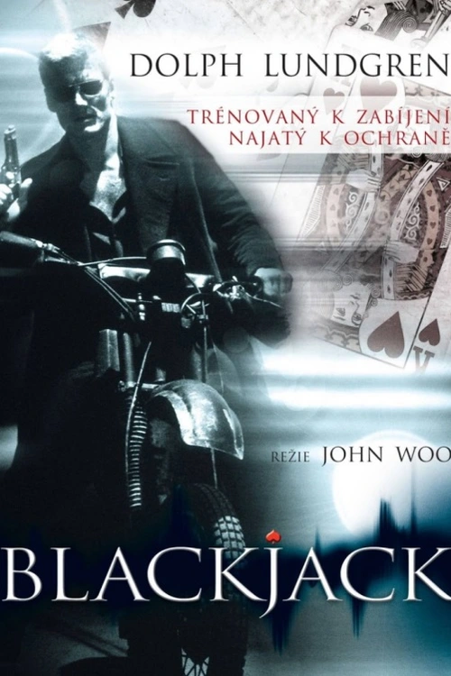 Americký thriller. Nebezpečný mafián ohrožuje dceru majitele kasina. Proto se rozrušený otec obrátí na svého přítele, který býval speciálním agentem a teď se živí jako osobní strážce.
