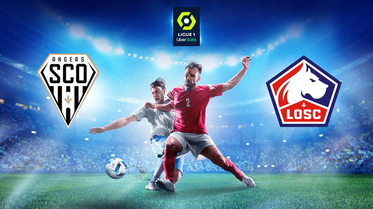 Angers SCO - Lille OSC Přímý přenos 31. kola nejvyšší francouzské fotbalové soutěže Ligue 1 McDonald's