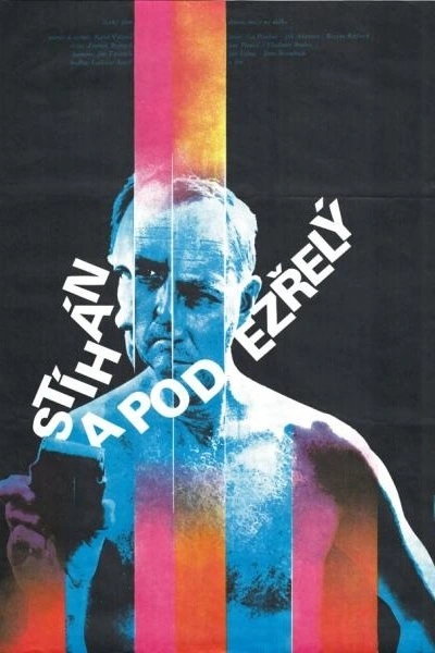 Stíhán a podezřelý