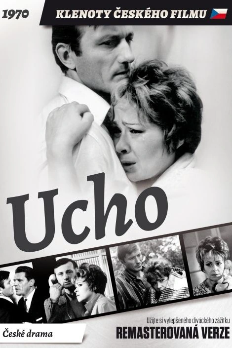 Ucho