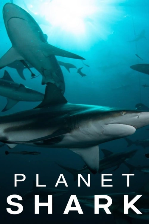 Kanada, dokumentární série, 2022 Žraloci, kteří jsou starší než dinosauři, se vyvinuli tak, aby se jim dařilo i v těch nejdrsnějších prostředích. Plný rozsah jejich vynalézavosti se teprve začíná odhalovat.