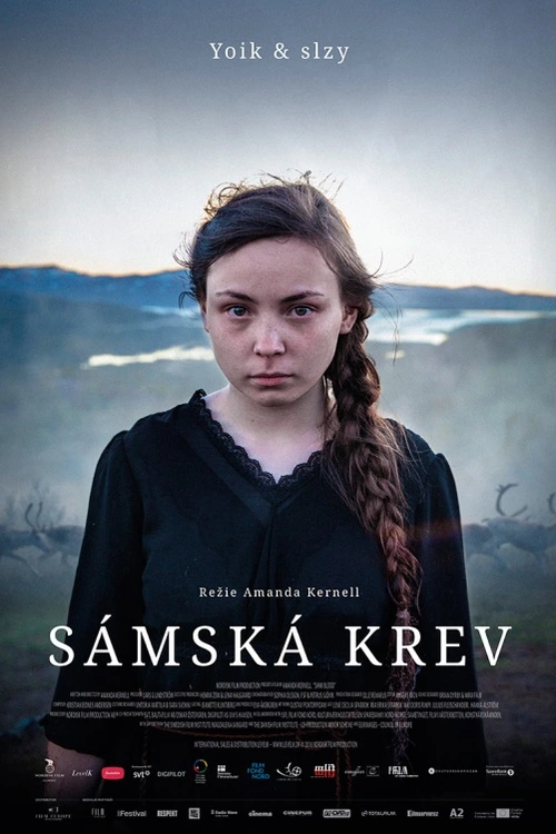 Sámská krev je film s hodně zajímavým tématem - boj proti předsudkům, boj proti konzervativní společnosti, snaha dostat ze bludného kruhu.
