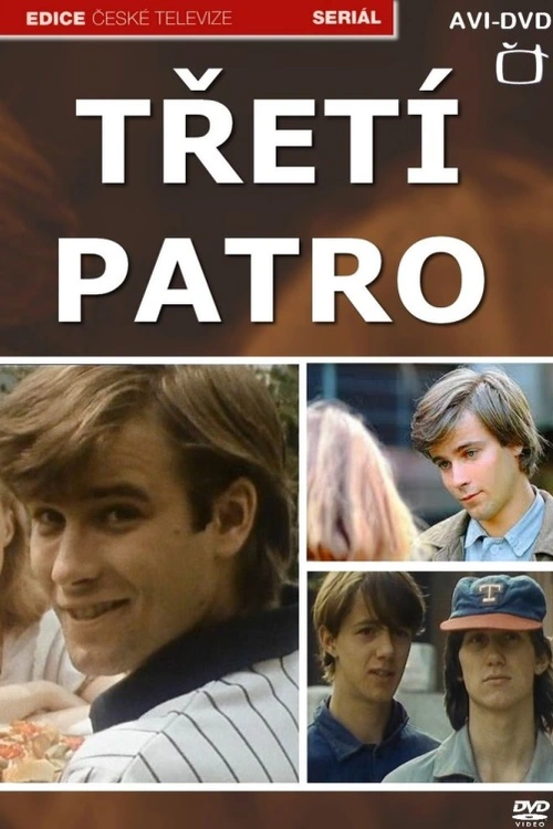 Martin se rozhodne vrátit k Hance a vzít si ji. Ta však už má nejistoty dost, zvyká si na představu, že bude svobodnou matkou. Sbližování není snadné. Na učilišti se Martin snaží dosáhnout důsledného vyšetření Michalova případu. Na světlo vycházejí závažné skutečnosti... Závěr českého seriálu (1985). Dále hrají J. Mílová, M. Suchánek, J. Langmajer, J. Potměšil, F. Němec, M. Fišerová, J. Somr a další. Režie K. Smyczek