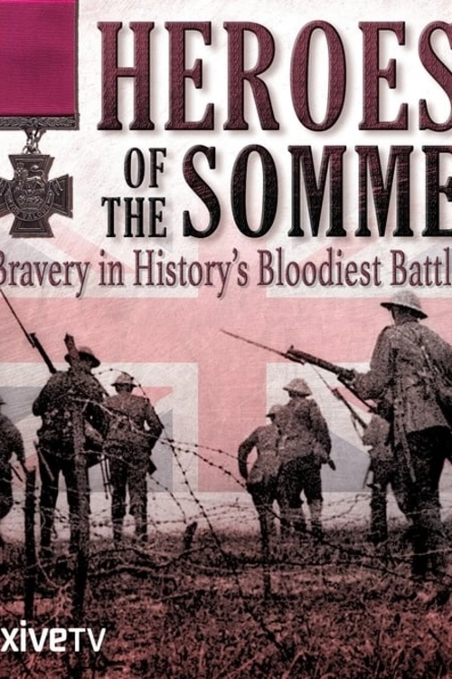 Dokumentární film Hrdinové od Sommy ukazuje archivní záběry z bojů na Západní frontě a vypráví příběh sedmi statečných mužů, kteří za své skutky v roce 1916 získali nejvyšší možné britské vojenské ocenění – Viktoriin kříž.