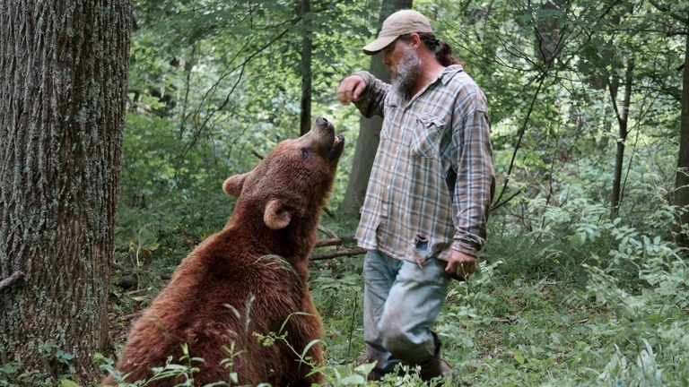 Projekt Grizzly