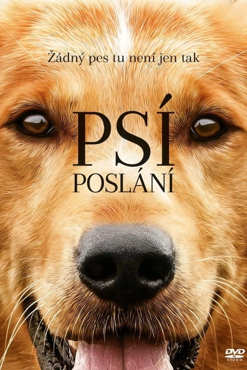 Psí poslání