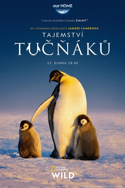 Badatel National Geographic Bertie Gregory strávil mezi tučňáky neuvěřitelné dva roky a získal záběry, které odhalují, že tito tvorové jsou nám podobní mnohem víc, než jsme si dokázali představit. Ať už jde odvážlivce, kteří se nebojí riskovat, nebo dobrodruhy, kteří využívají vynalézavost a inovace. Tento seriál odhaluje tajné tradice, silná přátelství, překvapivou inteligenci společenství tučňáků, kteří žijí v těch nejextrémnějších místech planety.