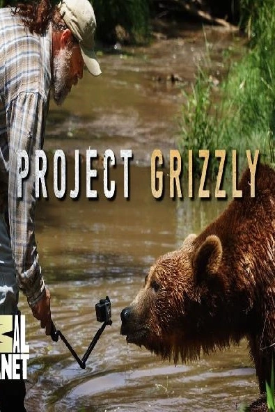 Projekt Grizzly