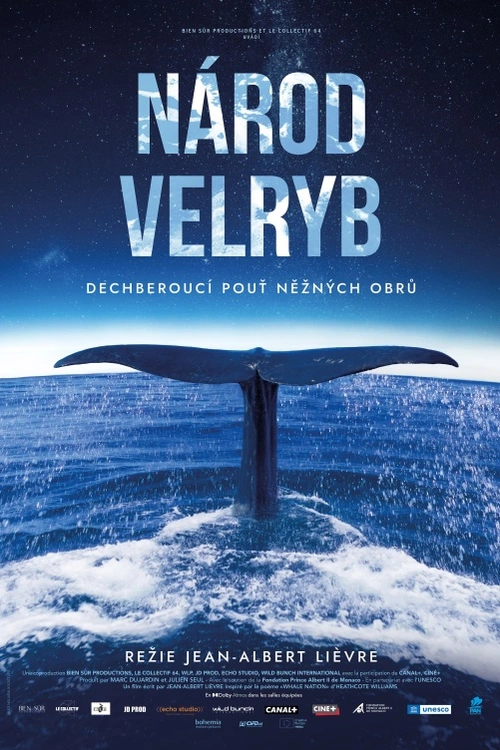 Jednoho dne objeví malý chlapec na odlehlé pláži vyplavenou velrybu. Během boje o její záchranu se vydáme na dobrodružnou výpravu za těmito neobyčejnými tvory.