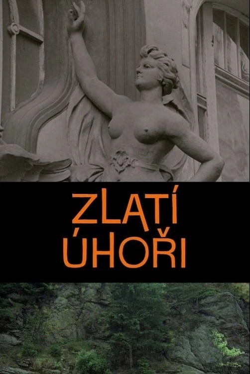 Zlatí úhoři