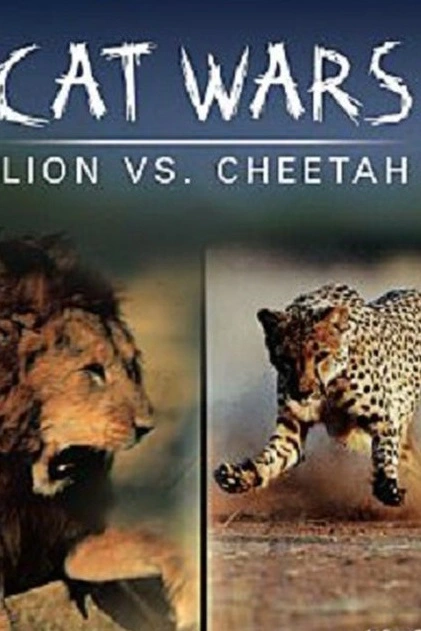 Války koček: Lev versus gepard