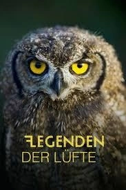 Létající dravci