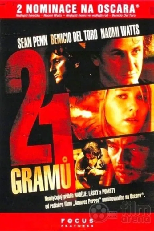 Cristina Pecková (Naomi Watts) je milující manželka a matka dvou dcer, žijící šťastný život, naopak bývalý trestanec Jack (Benicio Del Toro) se potýká s následky chudoby a řeší návrat k víře. Po tragické nehodě se jejich životy střetávají, každý čelí osobní krizi a hledá duševní rovnováhu.