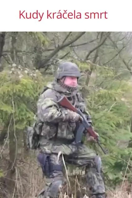 Bylo mu teprve patnáct roků, když se – společně s rodiči a starší sestrou – ocitl v těsném dosahu Smrti. Chtěli této Smrti uniknout. Vydali se tedy na hazardní cestu plnou nebezpečí. Žili v zemljankách, na půdách a v dalších úkrytech. Pronásledováni zimou, hladem, strachem. Po celou tu dobu se o ně staralo několik odvážných lidí, kteří riskovali nejenom své životy, ale také životy svých nejbližších. Téměř tři roky balancovali Wolfovi i jejich přátelé na okraji pomyslné propasti. Po celou tu dobu si Otto Wolf vedl deník. Deník, který po letech vydal neobyčejné svědectví.Český dokumentární seriál (2019).