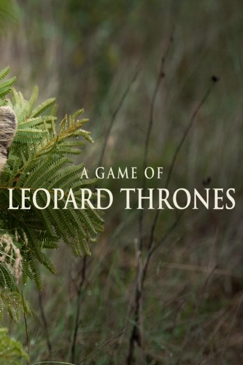 Velká Británie, dokumentární série, 2023 Stará leopardí královna je mrtvá. Když nová královna Thandi objeví mláďata, která po sobě zanechala, začne boj o přežití a o korunu Djumy.