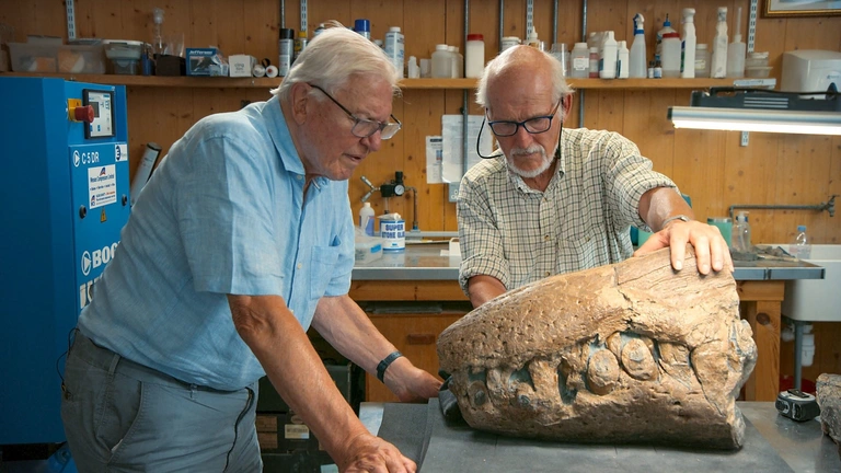 Attenborough a dávné mořské monstrum