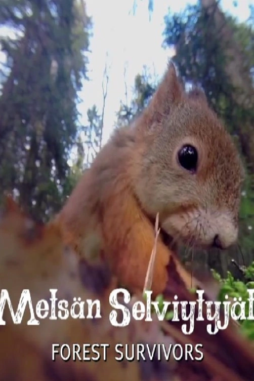 Lesní hrdinové