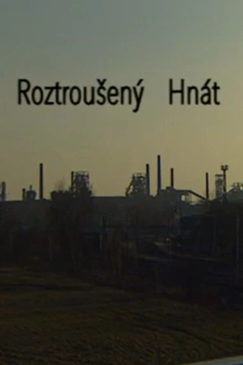 Bolí to, když je každý okamžik bojem o život. Příběh básníka, který zápasí se svým postižením (2008). Režie M. Petrov