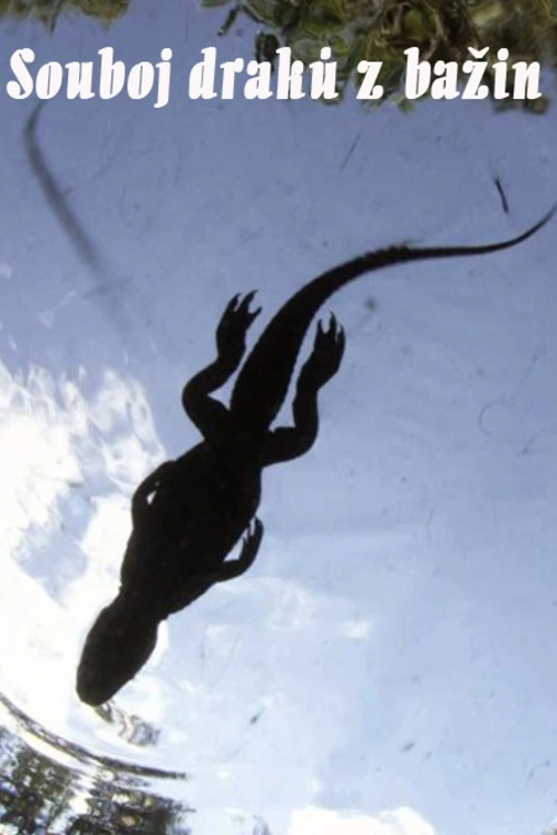 Souboj draků z bažin. Florida je domovem aligátorů, ale i krokodýlů. Který z nich je ale zuřivějším predátorem? Porovnáme tyto dva pravěké titány a zjistíme pravdu.