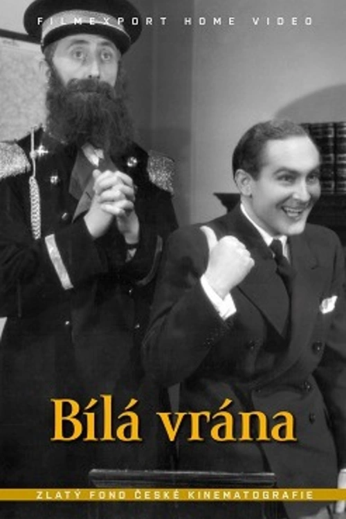 Když si bere chudý chudou, tak věří, že šťastni budou?Komedie plná milostných omylů, příjemných písniček a dobových hitů byla natočena podle úspěšné stejnojmenné operety. Vypráví o tom, jak si poradit s nepraktickým zámeckým pánem a jeho prodělečným zámkem i o tom, že za poctivou práci se nemusí nikdo stydět.Finanční situace rodiny Dubanských, majitelů pěkného, ale zadluženého zámku nedaleko Luhačovic, je kritická. Vdovec Filomen Dubanský vkládal své naděje na záchranu zoufalých majetkových poměrů ve svou jedinou dceru Janu. Ta se však odmítla vdát za bohatého doktora Bernarda. Dubanský se proto žení s bohatou Čechoameričankou, ze které se ovšem po svatbě vyklube podvodnice. A zatímco jsou novomanželé na svatební cestě v Tatrách, ze zámku se stává hotel Bílá vrána…Zadlužený majitel zámku Dubanský vidí jediné východisko z dluhů ve sňatku dcery Jany se synem svého přítele z mládí Bernarda, nyní milionáře. Aniž se mladí lidé znají, je jim oběma domluvené manželství proti mysli. Dubanský sám se ožení s podvodnic