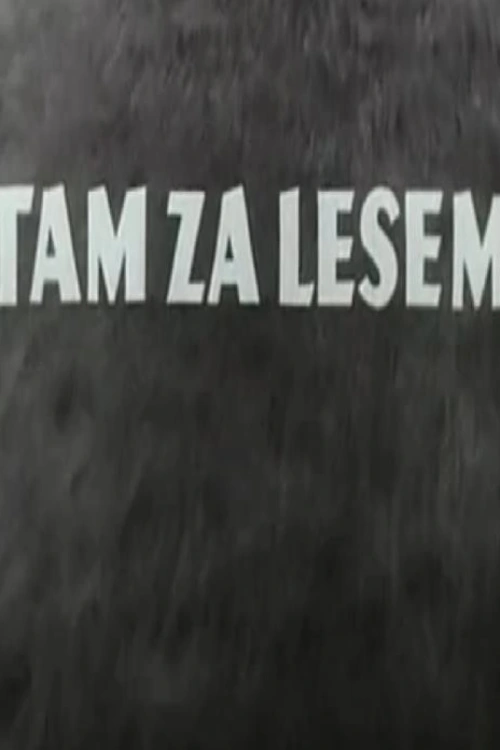 Sny a tužby vojáků vracejících se do vlasti.Příběh československé vojenské jednotky bojující na podzim 1944 po boku sovětské armády o Dukelský průsmyk. Poznáváme různé typy charakterů vesměs uvědomělých vojáků a poddůstojníků, ať je jeden z Prahy, druhý z Brna nebo třetí z Topolčan. Uvědomělý a vnitřně odhodlaný poručík Martin Dzurniak věří v lepší společnost a skeptický četař Ladislav Brzoň nikoliv. V jejich vzájemných diskusích vítězí Martinovo přesvědčení. Československá jednotka, v níž nechybí ani romský mladík Jurka Kanaloš odhodlaný stát se po válce strojvůdcem, se chystá na boj o Dukelský průsmyk a musí o každou píď země tvrdě bojovat. Je to pro ně jenom kousek domů, tam za lesem, ale ne každému se podaří přežít. Úspěch vykoupí vlastní krví.Září 1944. Bývalý učitel Martin Dzurniak, nyní zbrojní zásobovač československého armádního sboru, se po bojích v Sovětském svazu ocitne se svojí jednotkou poblíž hranic své vlasti. Čeští a slovenští vojáci netuší, že o tento kousek země - Dukelský průsmyk - svedou