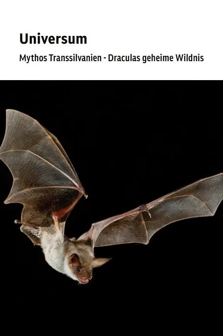 Divoká Transylvánie: Drákulovo skryté království