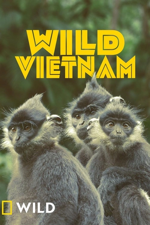 Divoký Vietnam