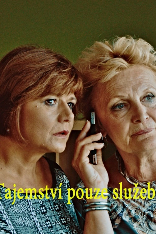 Tajemství pouze služební