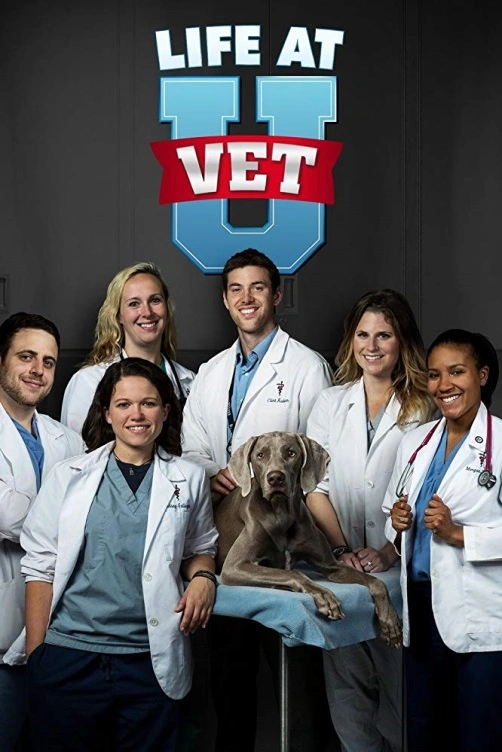 Život na Veterinární univerzitě