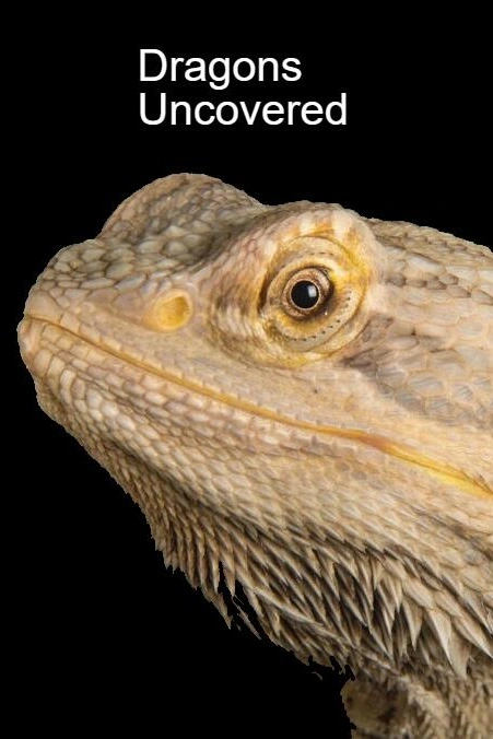 Záhadní draci