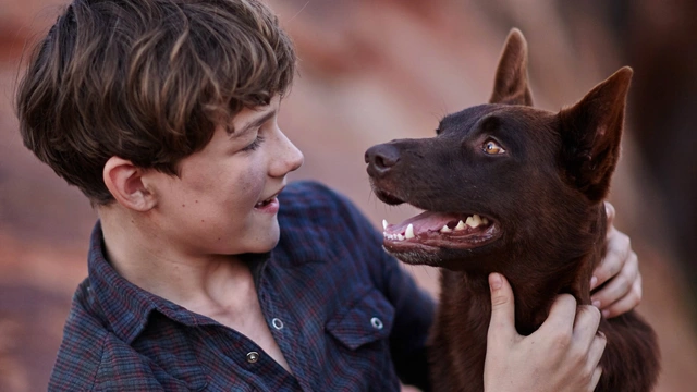Red Dog 2
