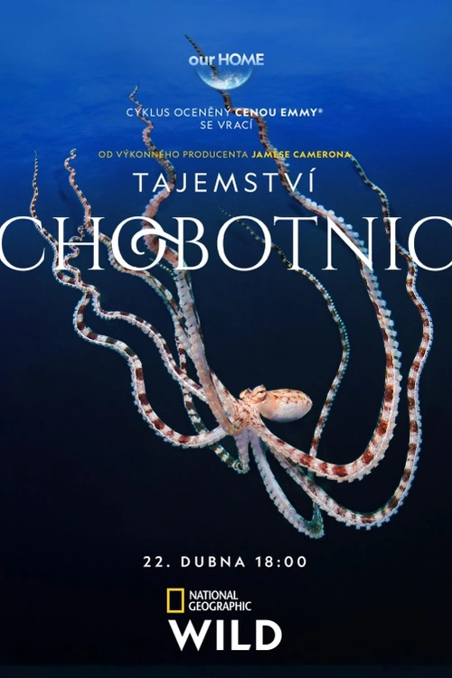 Vodám nedaleko našich břehů vládne tvor s mimořádnými schopnostmi. Žádné zvíře není tak odlišné a přitom nám tak podobné. Sledujte s námi osm druhů chobotnic z celého světa, jejich jedinečné osobnosti a chování. Přiblížíme jak se chobotnice učí, přizpůsobují, zastrašují nebo naopak spolupracují.