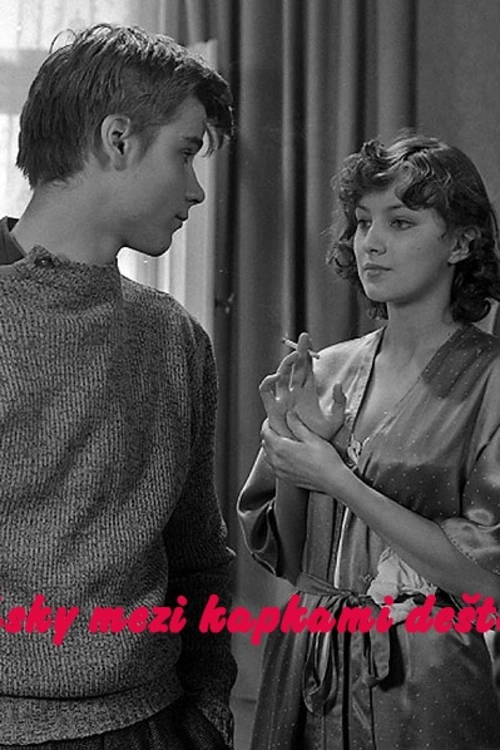Romantický příběh ze třicátých let z pražského Žižkova, vztahující se k souboji obuvníka Bursíka s výrobky Baťa, dospívání dvou synů v sociální nejistotě a okupaci. Příběh je rozdělen do vět, včetně exodu, válek a první lásky.