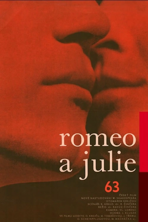 Vzácný záznam z přípravy a zkoušek legendární inscenace Romeo a Julie v Národním divadle v roce 1963. V režii Otomara Krejči hráli M. Tomášová, J. Tříska, O. Scheinpflugová, L. Munzar a další hvězdy. Režie filmového dokumentu R. Činčera.