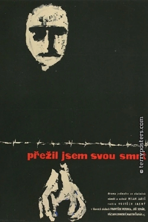Přežil jsem svou smrt
