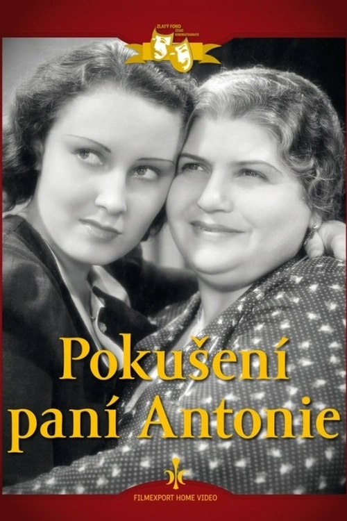 Česká lidová komedie o tom, co všechno se může stát, když matka v dobrém úmyslu zapře svou dceru.Chudá vdova po železničáři Anna Nováková sice získá místo hospodyně v domácnosti inženýra Domanského, avšak musí zapřít svou studující dceru Matildu, aby splnila obskurní podmínku zaměstnavatele, že nesmí mít žádné děti ani příbuzné. Jenže jednoho dne se právě studentka Matilda ocitne v témže domě jako asistentka. Šarmantní muž se do ní dokonce zamiluje, ale vše naruší, když se prozradí příbuzenské pouto mezi oběma ženami.Antonie Nováková je chudá vdova po železničáři, matka jediné dcery Milady. Aby jí umožnila dostudovat a mít lepší život než měla ona, je ochotna udělat cokoliv. Přihlásí se tedy na inzerát, kterým si inženýr Domanský hledá spolehlivou hospodyni. Při pohovoru v jeho vile vyjde najevo, že Domanský má jednu neobvyklou podmínku. Aby se vyhnul nepříjemnostem, nesmí mít jeho hospodyně děti, rodinu ani žádné další příbuzenstvo. Antonie, která je ochotná pro dobro své dcery udělat cokoliv, s těžkým srdc