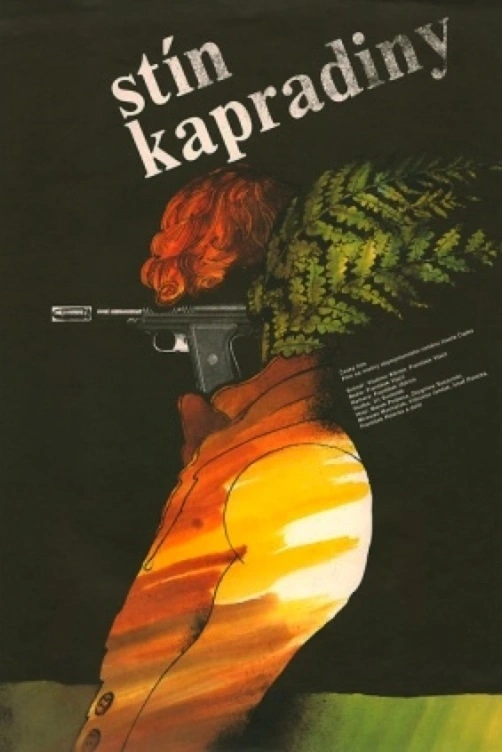 Stín kapradiny