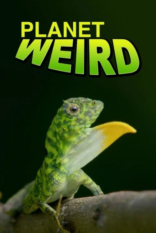 Nevšední zvířata na naši planetě