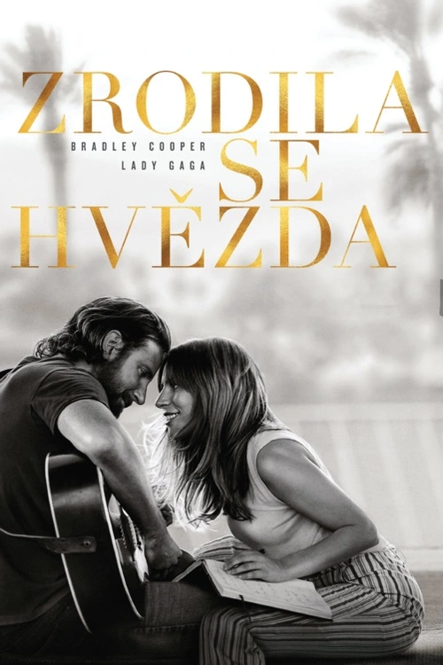 Zrodila se hvězda. Slavný country rockový zpěvák Bradley Cooper objeví neznámou talentovanou zpěvačku Lady Gaga. Když se oba vrhnou do vášnivého milostného vztahu, zpěvák přiměje dívku k vystupování v záři reflektorů a katapultuje ji tak ke slávě. Ale když její raketový start zastíní jeho vlastní kariéru, nese stále obtížněji svůj ústup z velkých pódiií a o to více se potýká se svými vnitřními démony... Americký romantický hudební film (2018). Dále hrají S. Elliott, A. Dice Clay, R. Gavron, A. Ramos, D. Chappelle, A. Baldwin, R. Rifkin a další. Režie B. Cooper
