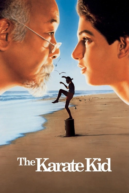 Karate Kid. Danny se přestěhuje do Kalifornie a potýká se s místní partou vedenou Johnnym. Rozhodne se naučit karate, aby se jim postavil, a starý Miyagi ho začne trénovat. Přestože Danny nechápe Miyagiho metody, nakonec získá sebevědomí a postupuje do finále místního turnaje.