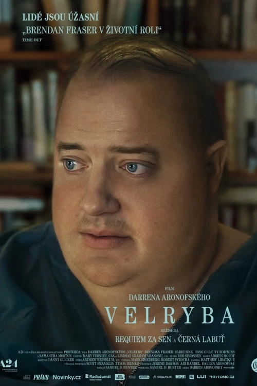Lidé jsou úžasní. Tento nakažlivý optimismus je superschopností Charlieho. Vidí v lidech jen dobro a v nás tak probouzí empatii. Téměř tří set kilový osamělý učitel se snaží najít cestu zpět ke své dceři Ellie. Pod tíhou vlastních traumat se jen složitě vyrovnává s minulostí, uzavřel se ve svém bytě, stresové situace řeší přejídáním, ale na půdorysu svého třípokojového bytu je majákem dobra pro sebe i své okolí.