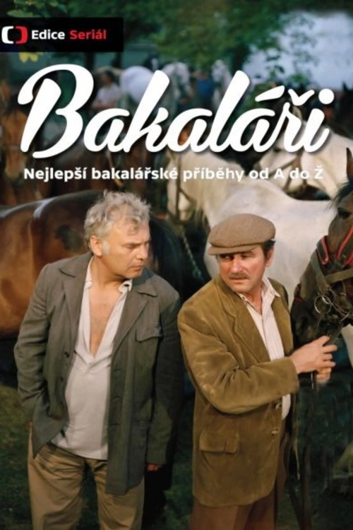 Povídka z cyklu Bakaláři 1978 vypráví o starém mládenci, jehož život tvořila hospoda, kamarádi a víno. Jako uznávaný zedník a společník se v 45 letech rozhodl kvůli svobodné sestře hostinského oženit. Rychlá svatba ale přináší ranní uvědomění skutečnosti.