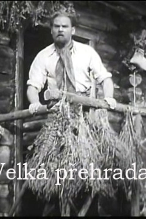 Mladý inženýr si zařídil vlastní projekční kancelář a zadal svůj projekt do soutěže na velkou vodní stavbu. Jeho představy o poctivé a odpovědné práci narazí na spekulace bezcharakterního velkopodnikatele...