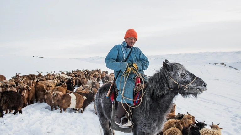 Divoké Mongolsko: země extrémů