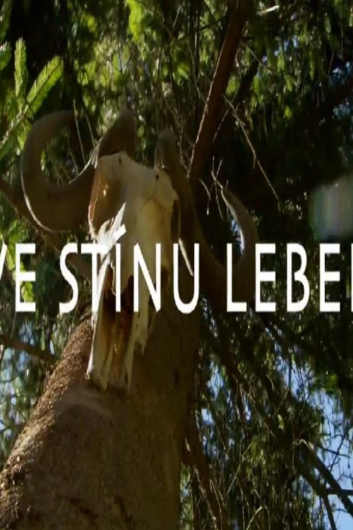 Nebezpečná expedice do tajemných pralesů Papui-Nové Guineje s cestovatelem Petrem Jahodou (2011). Režie E. Tomanová