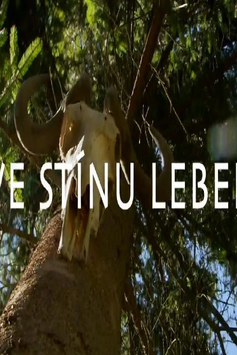 Ve stínu lebek