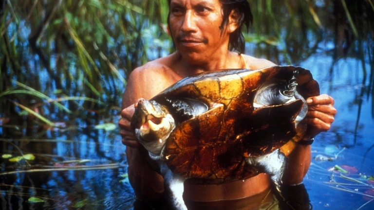 Amazonie