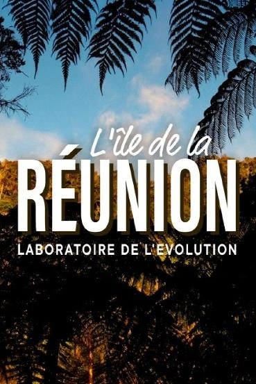 Ostrov Réunion: Hřiště evoluce