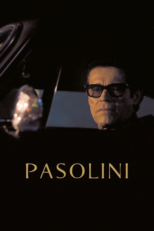 Biografické drama pojednávající o dramatickém sklonku života kontroverzního italského filmaře. Rok 1975. Padesátník Pier Paolo Pasolini právě ukončil natáčení svého posledního filmu Saló aneb 120 dní Sodomy a prožívá nejbouřlivější období své už tak pohnuté kariéry. Stojí proti němu dobová veřejnost, filmová kritika i politické elity. Nejde jen o šokující otevřenost tvorby, neskrývanou homosexualitu, celou řadu osobních výstřelků, ale i o jeho politický aktivismus. I přes odpor svých blízkých se Pasolini chystá na natáčení nového filmu – filmu, který nikdy nedokončí.